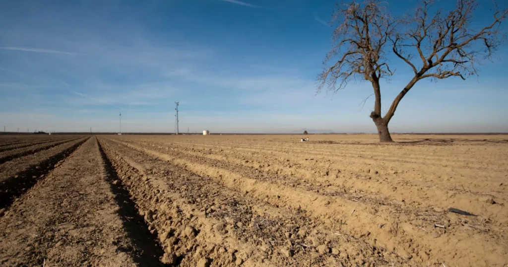 As 4 variáveis de valorização que devem pesar mais em 2026