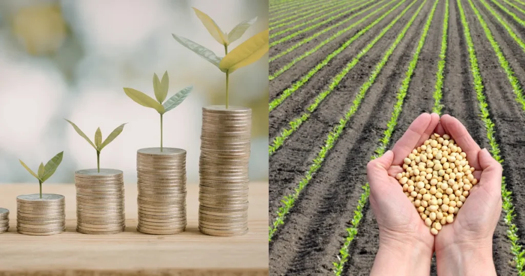 Fiagros de Crédito vs Fiagros de Terra análise comparativa qual tese faz sentido para 2026