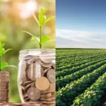 Fiagros de Crédito vs Fiagros de Terra onde focar no início de 2026