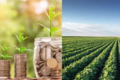 Fiagros de Crédito vs Fiagros de Terra onde focar no início de 2026