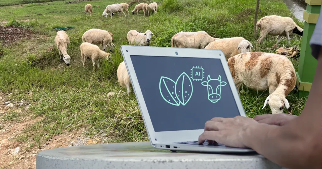 Gestão financeira como motor da valorização rural