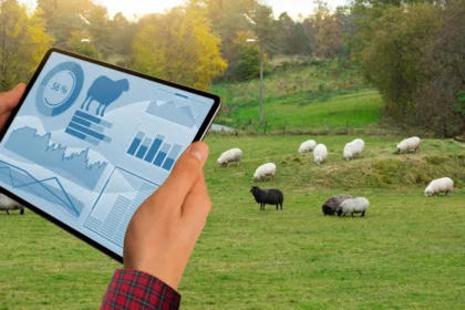 Métricas de gestão no campo como analisar a eficiência financeira no campo