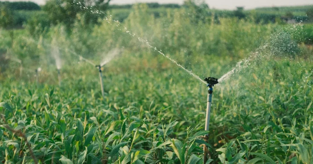 Os 7 pilares da gestão rural eficiente que mais impactam a lucratividade hoje