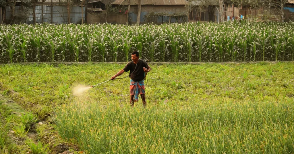 Renda Rural em 2026 Além da Lavoura e da Pecuária