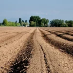Valorização de terras agrícolas no Brasil variáveis de valorização para 2026