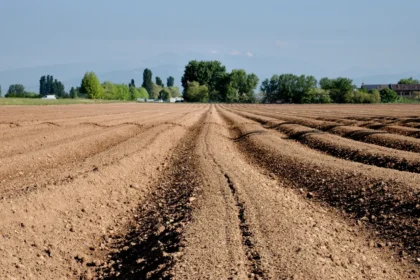 Valorização de terras agrícolas no Brasil variáveis de valorização para 2026