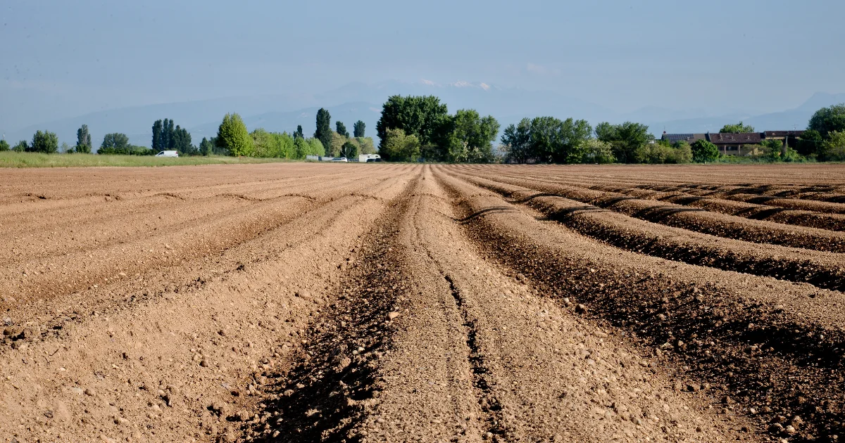 Valorização de terras agrícolas no Brasil variáveis de valorização para 2026
