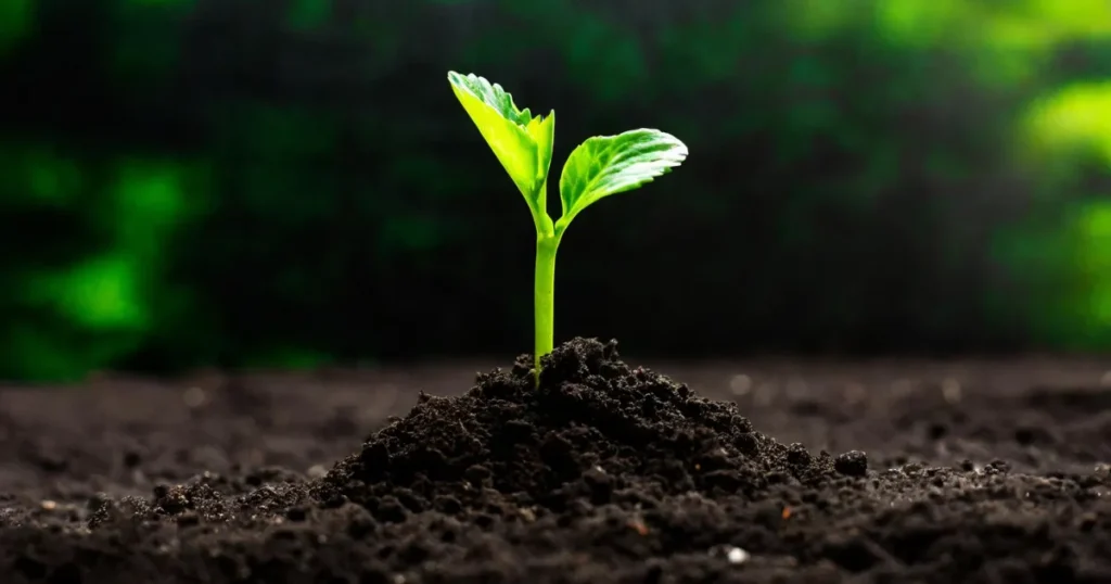 Biotecnologia e Resiliência As novas sementes que estão protegendo o capital contra as variações climáticas
