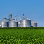 Diversificação Setorial no Agro Grãos, Pecuária ou Fruticultura Onde o investidor institucional está alocando