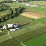 Fiagros vs LCI Onde está o real retorno do capital no agronegócio