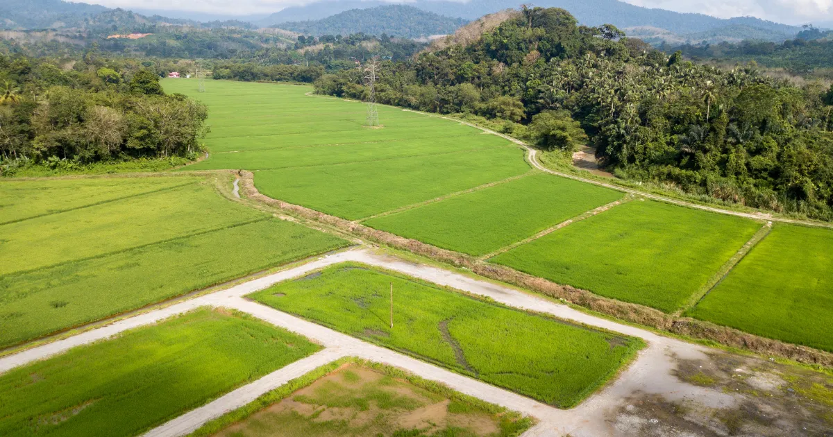 O Ágio da Transparência como a governança de dados aumenta o valor de venda da sua terra em 2026