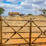 Arrendamento rural quanto realmente rende por hectare no Brasil