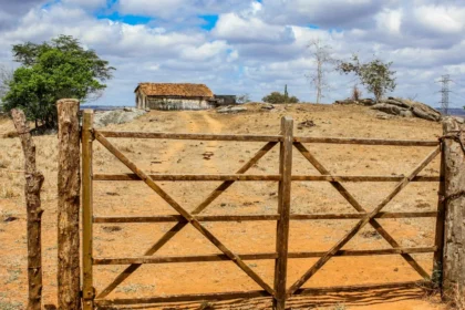 Renda e Valorização Rural