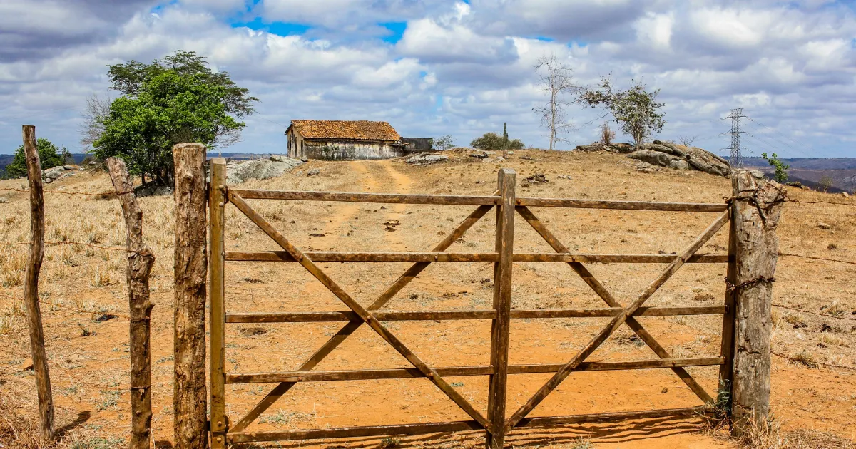 Arrendamento rural quanto realmente rende por hectare no Brasil