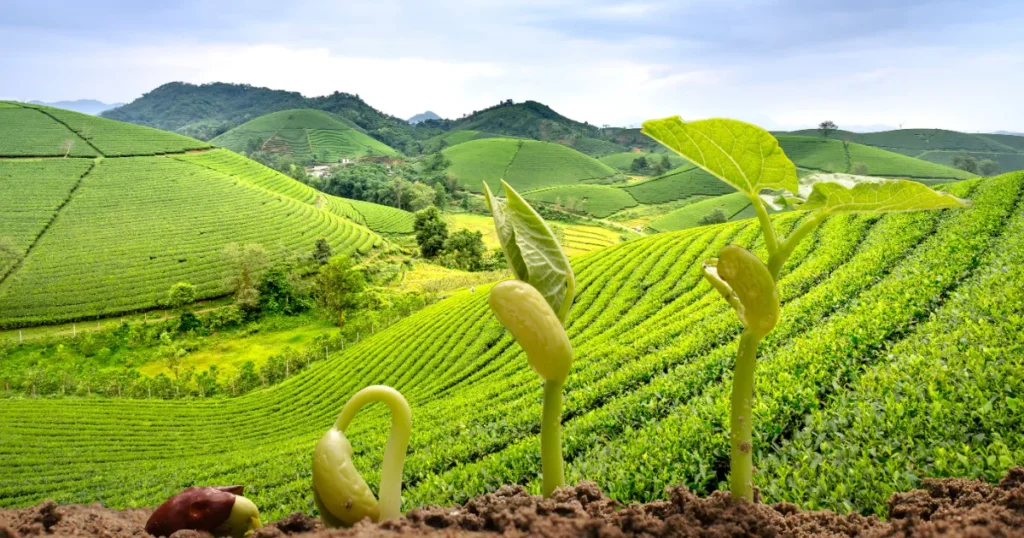 Como se formam os retornos dos FIAGRO em 2026