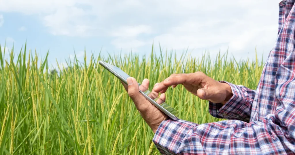 Conectividade rural o gargalo invisível da tecnologia no campo (1)