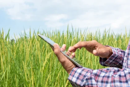 Conectividade rural o gargalo invisível da tecnologia no campo (1)