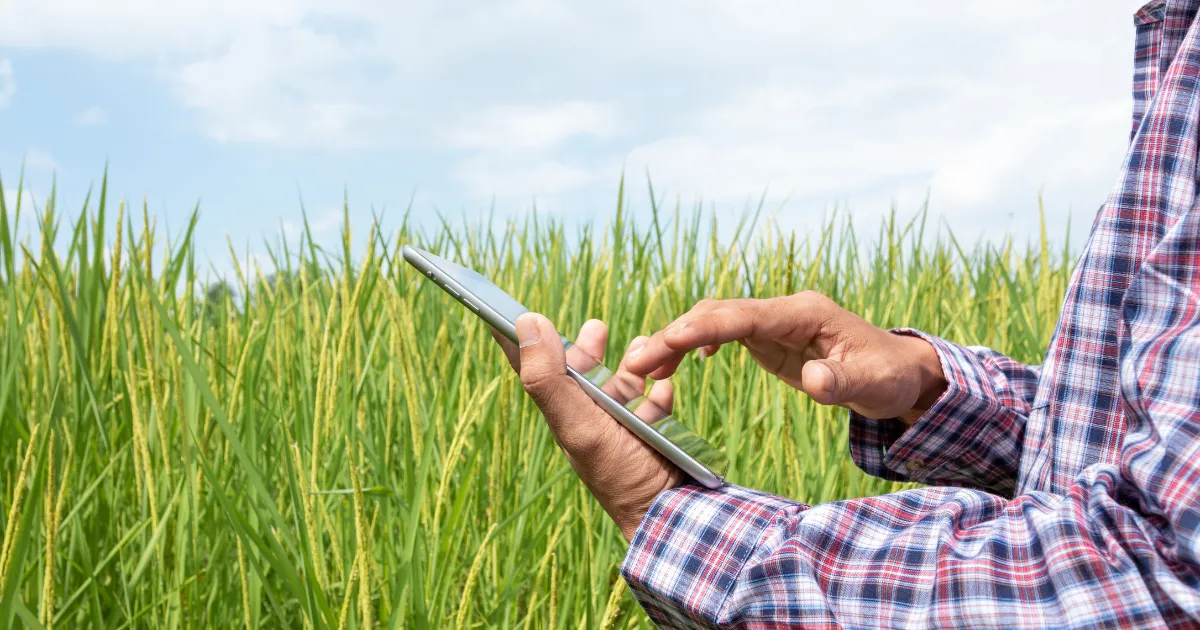 Conectividade rural o gargalo invisível da tecnologia no campo (1)