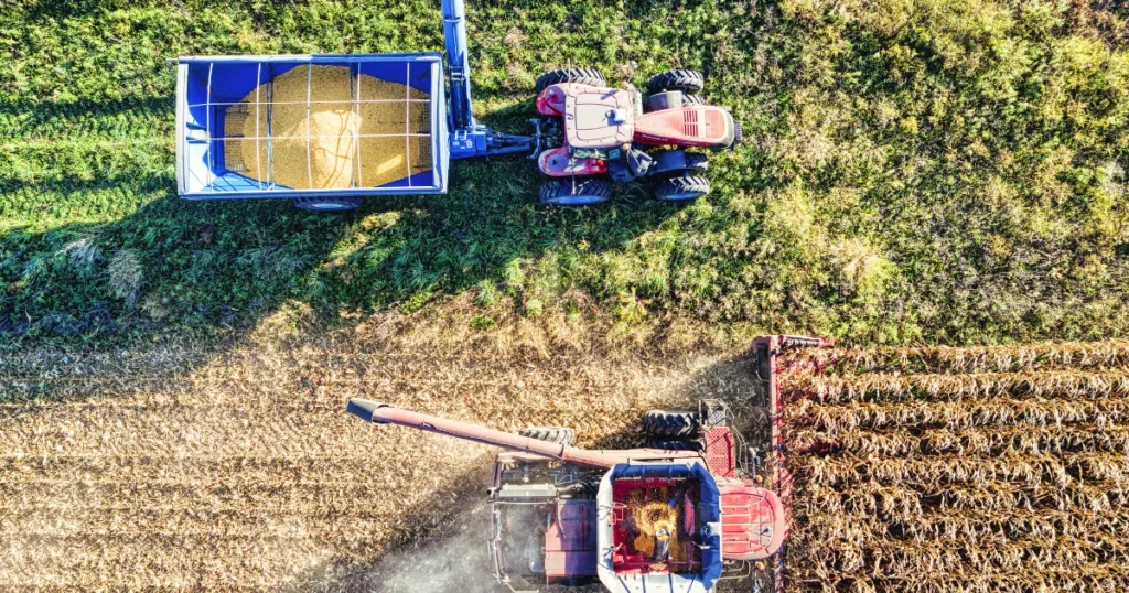 Custo como classificar corretamente para apoiar a decisão