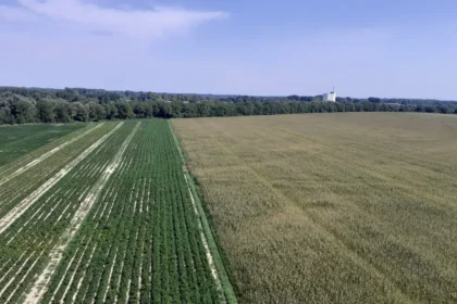 Gestão e Lucratividade