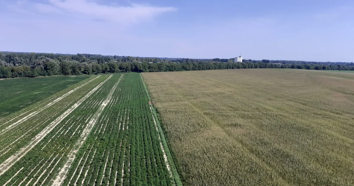 Gestão de risco no agro como proteger margem em anos ruins