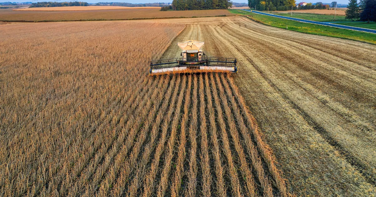 Gestão e lucratividade no campo custo, margem e decisão