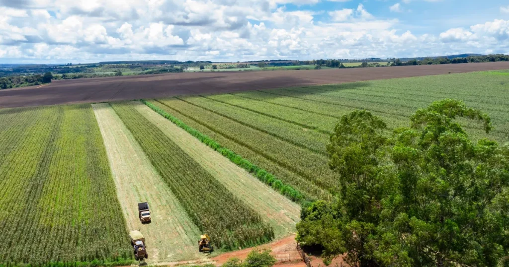 Modelos de geração de renda comparativo prático
