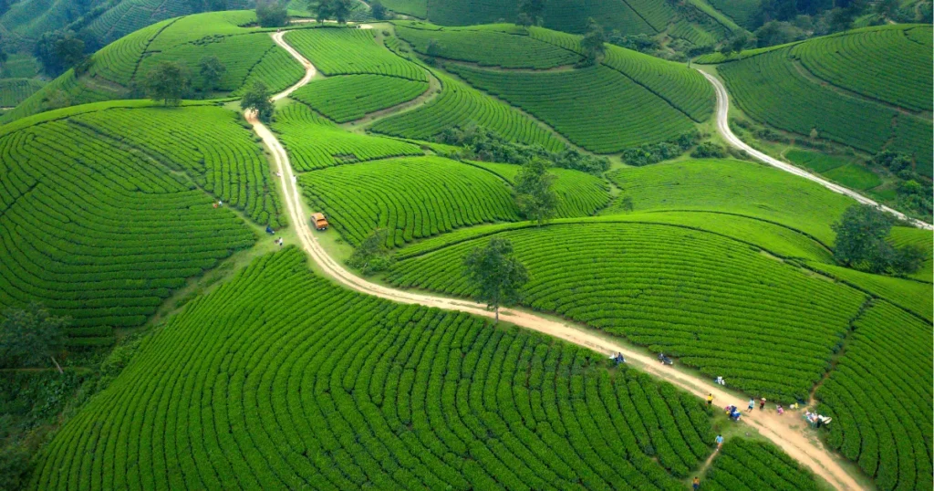 Quanto os Fiagros estão pagando na prática em 2026