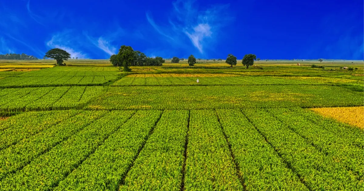 Terra agrícola como ativo valorização e geração de renda no Brasil