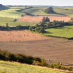 Gestão rural em 2026 ferramentas para reduzir custos e aumentar produtividade por hectare