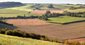 Gestão rural em 2026 ferramentas para reduzir custos e aumentar produtividade por hectare