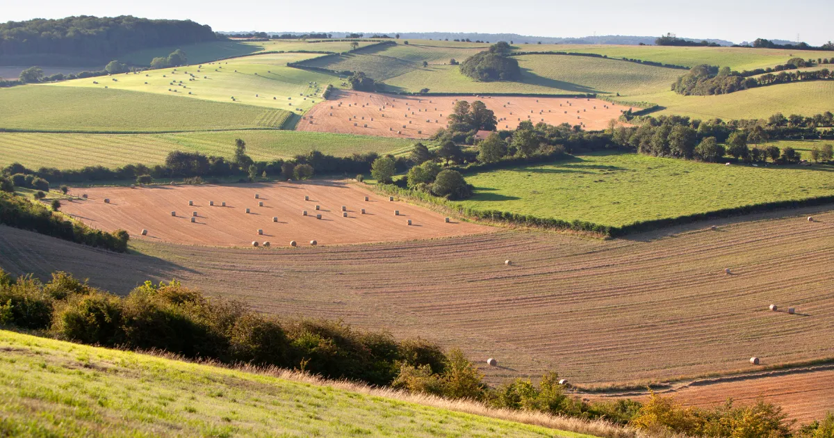 Gestão rural em 2026 ferramentas para reduzir custos e aumentar produtividade por hectare