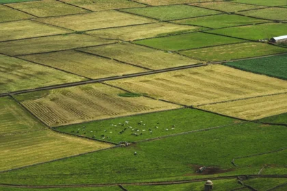 Renda e Valorização Rural