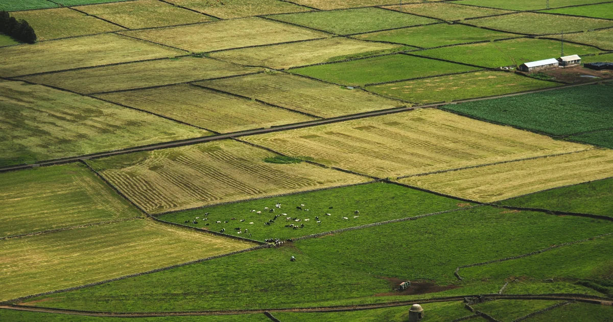 Investimento em terra agrícola em 2026 rendimento real, valor do hectare e ROI por cultura
