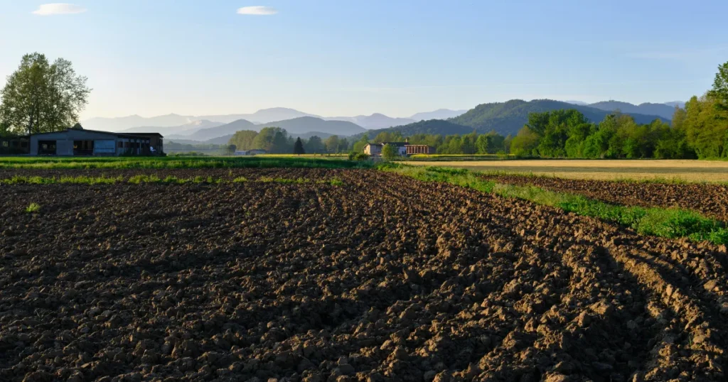 Quanto realmente rende o hectare como investimento