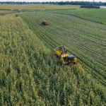 Tecnologia no campo vale a pena para propriedades médias