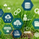 Software de gestão rural quanto custa e como escolher