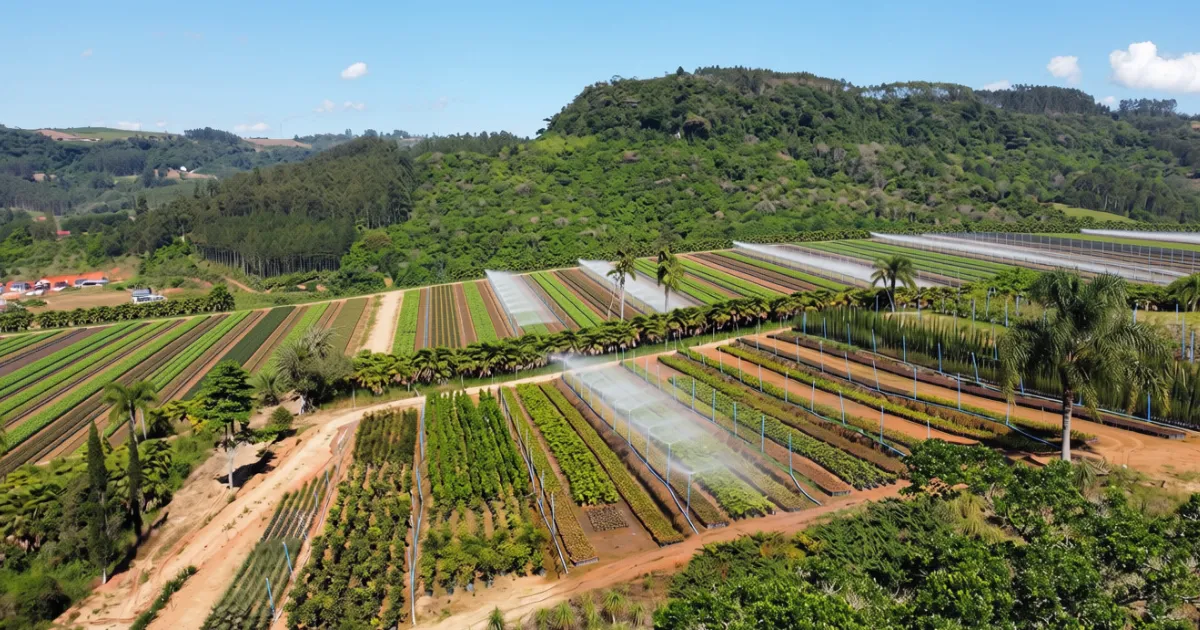 Terra como ativo real proteção rentabilidade e os riscos que o mercado não precifica