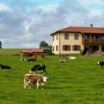Como avaliar o preço de uma fazenda 7 indicadores antes de fechar negócio