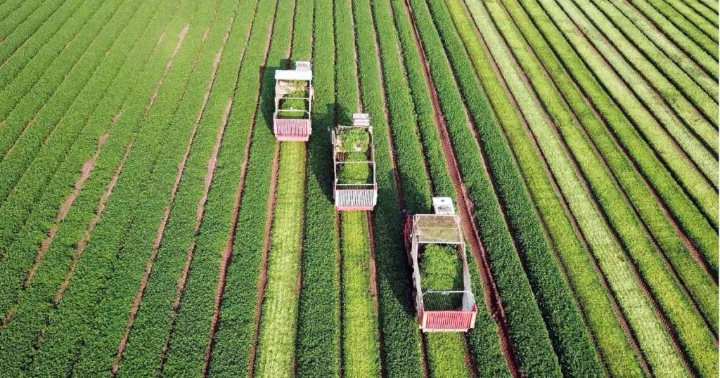 Como calcular o ROI da agricultura de precisão caso Embrapa
