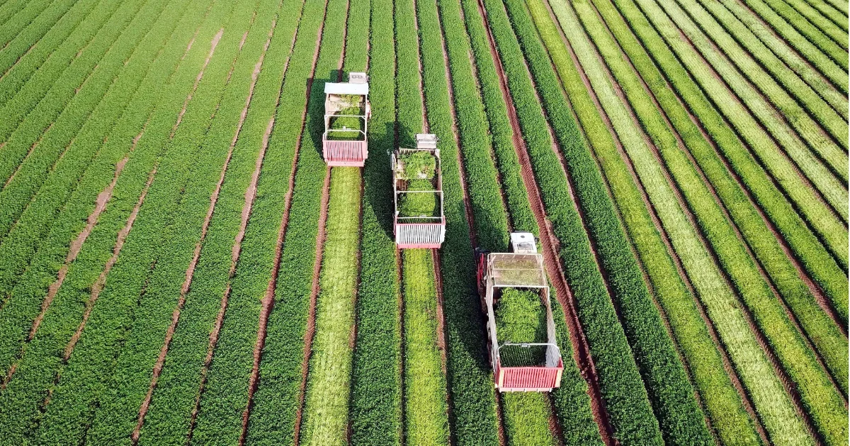 Como calcular o ROI da agricultura de precisão caso Embrapa