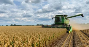 Ponto de equilíbrio rural quantas sacas por hectare você precisa colher para não ter prejuízo
