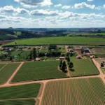 Renda de propriedade rural método simples para calcular antes de comprar ou arrendar