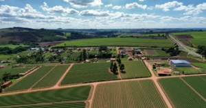 Renda de propriedade rural método simples para calcular antes de comprar ou arrendar