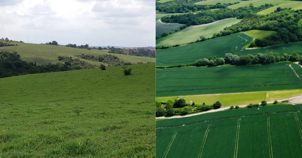 Comparação do preço por hectare total e por hectare compatível com a atividade em duas fazendas.