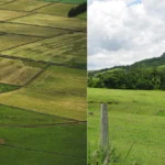 Comparação de áreas agrícolas, pastagens e vegetação nativa em propriedades rurais.