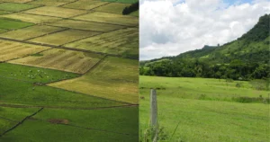 Comparação de áreas agrícolas, pastagens e vegetação nativa em propriedades rurais.