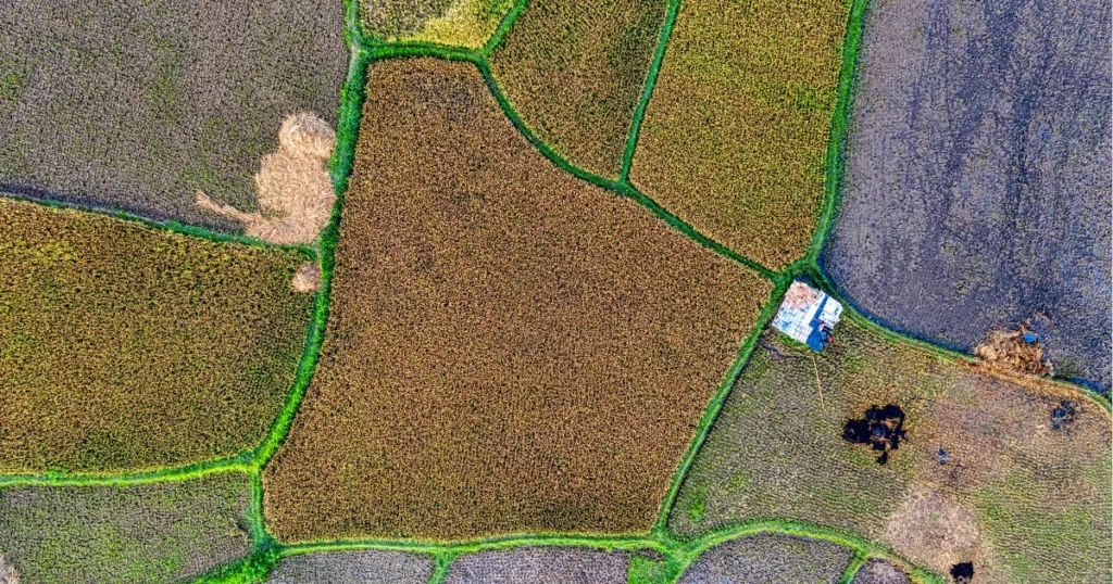 Agricultura de precisão GPS, taxa variável e mapas de produtividade