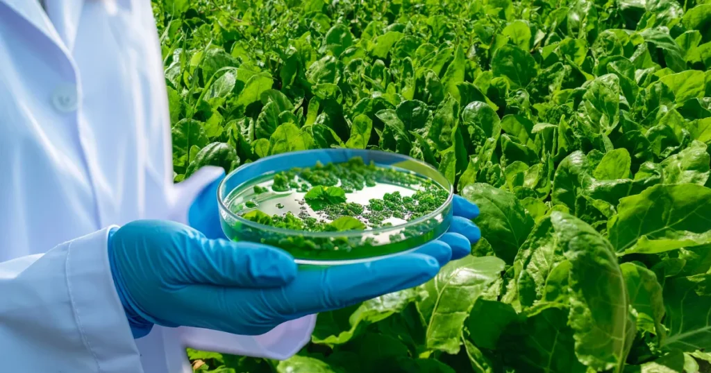 Bioinsumos On-farm ou Industriais Qual o melhor custo-benefício