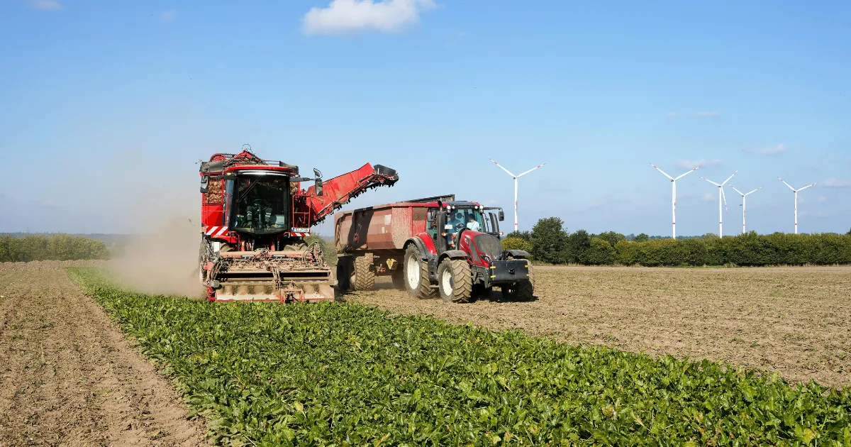 Cenários para 2026 as 3 variáveis que o investidor rural deve monitorar